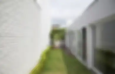  Pantas Saja Becek Terus, Begini Cara Atasi Taman Kena Cipratan Hujan, Tinggal Tebarkan Benda Satu Ini