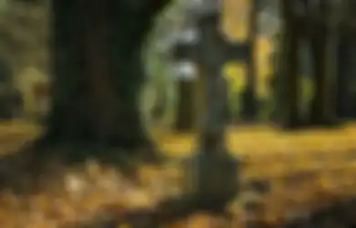 Dengar Jeritan Misterius yang Memekakkan Telinga, Pria Ini Nekat Bongkar Paksa Makam Kekasihnya dengan Palu Godam dan Temukan Hal Mengerikan di Peti Matinya 