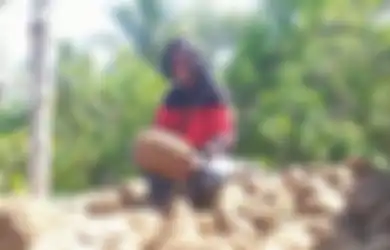 Ubah Pemulung Jadi Miliarder, Siapa Sangka Tanaman yang Dulu Dibuang-buang Ini Ternyata Dapat Bikin Kaya Raya: Hasilkan Rp 12,5 Juta Per Hektar