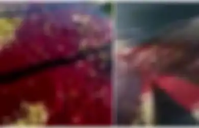 Gempa 6,8 SR Guncang Turki, Air Berwarna Merah Darah Keluar dari Jalanan yang Retak dan Buat Resah