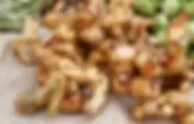 Pantas Sudah Tua Tak Pernah Sakit-sakitan, Ternyata Rahasianya Cuma Minum Air Rebusan Kencur, Dijamin Tubuh Bisa Terhindar dari Penyakit Mematikan Ini