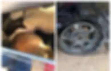 Nekat Curi 3 Sapi dengan Mobil MPV, Beginilah Nasib Pencuri Setelah Ban Mobil Meledak