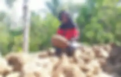 Awalnya Hanya Seorang Pemulung, Pria Asal Madiun ini Berhasil Sukses dan Kaya Raya Berkat Tanaman Liar ini