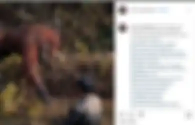 (Foto) Momen Menyentuh Saat Seekor Orangutan Mengulurkan Tangan ke Pria yang Masuk ke Kolam Penuh Ular