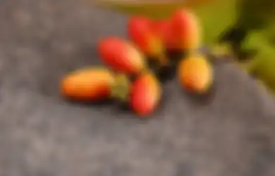 Ditakuti dan Dihindari karena Dianggap Jadi Penyebab Utama Asam Urat, Ternyata Melinjo Miliki Manfaat Tak Terduga, Salah Satunya untuk Penderita Diabetes!