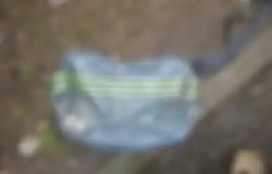 Temukan Tas Mencurigakan di Taman, Orang Ini Terkejut Isinya Anjing yang Tewas dalam Kondisi Mengerikan