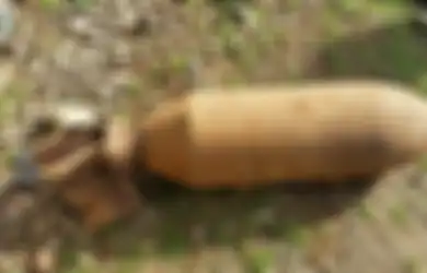 Tujuh Fakta Temuan Torpedo Seberat 500 Kilogram di Pantai Atapupu, Dipahat karena Dikira Berisi Emas dan Warga Diungsikan: 'Ini Kamu Jangan Ganggu Lagi
