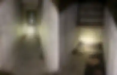 Pria ini Terkejut Saat Temukan Terowongan Misterius di Rumah Kuno yang baru Disewanya, Fakta Mengerikan pun Terungkap