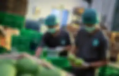 Gudang Penyimpanan dengan Sistem Pendingin sebagai Cara Jitu agar Hasil Pertanian Tidak Cepat Membusuk
