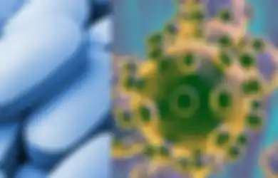 Virus Corona Sudah Menginfeksi Indonesia Tapi Vaksinnya Belum Ditemukan, Ilmuwan Ungkap Obat yang Sering Dikonsumsi Orang Indonesia Ini Ternyata Ampuh Obati Virus Corona