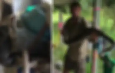 Dianggap Menyebarkan Infeksi Kurap, Seekor Kucing Ditaruh di Luar Rumah, Namun Ular Piton Sepanjang 3 Meter Melahapnya Utuh: Dia Hanya Membunuh Tikus dan Mencintai Kita