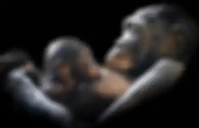 Besarkan Bayi Kera Seperti Anaknya Sendiri, Pasutri Ini Kaget Lihat Perubahan Janggal Setelah 1 Tahun, Ternyata Ada Fakta Mengejutkan di Baliknya!