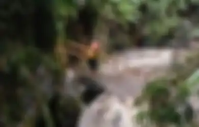 Temuan Baru Kasus Naas Susur Sungai Sempor SMPN 1 Turi, Seorang Murid Ungkap 'Rapat Online' Jelang Petaka Air Bah, Isinya Mengejutkan