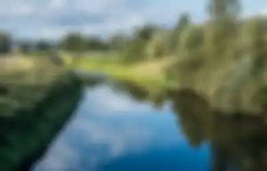 5 Tempat dengan Pemandangan Indah di AS ini Menyimpan Kisah Kelam, Jadi Tempat Favorit Pembunuh Membuang Mayat Korbannya