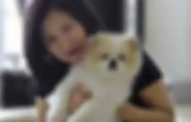 Belum Selesai Virus Corona 'Dibungkam', Anjing di Negara Ini Positif Terinfeksi Virus Corona, Buktikan Teori Anjing Dapat Sebarkan Virus Mematikan Ini