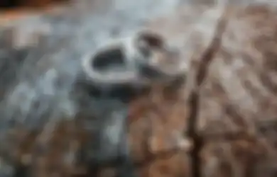 Kisah Viral Pernikahan 1 Hari di Sulawesi, Ketika Sang Istri Meninggal Mendadak Usai Pesta, Sang Suami pun Tak Kuat Menahan Kesedihannya, Begini yang Terjadi Padanya