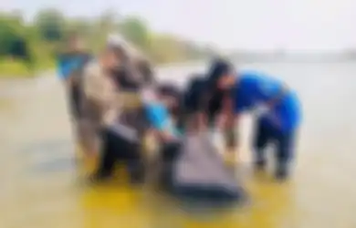 Dikira Dipenuhi Ikan Busuk, Koper Besar yang Mengambang di Sungai Ini Diambil Warga, Setelah Dibuka Isinya Membuat Gempar dan Ngeri, Nelayan: Awalnya Sulit Dibuka