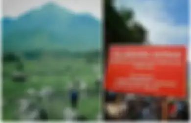 Viral di Media Sosial karena Disebut Mirip New Zealand, Wisata Randu Manduro Ditutup untuk Umum padahal Pengunjung Membludak, Mengapa?