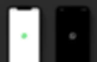 Resmi Di-release Hari Ini, Begini Cara Mengaktifkan WhatsApp Dark Mode