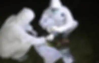Deretan Fakta Kambing, Ayam dan Kucing Mati Mendadak, Video Viral Hingga Membuat Penasaran Warga: 'Ada Saksi yang Melihat Awalnya Hewan Itu Kejang-kejang'
