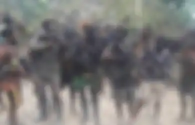 Disangka Mata-mata, KKB Papua Tembak Mati Warga Sipil di Intan Jaya, Undius Kogoya Kirim Surat ke TNI Usai Lakukan Aksi Keji, Apa Isinya?