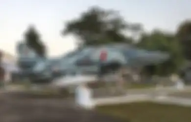 Tangan Kanan Soeharto Akali Pembelian Pesawat Tempur dari Israel, Komandan Teknisi TNI AU Ternyata Bikin Keputusan Aneh Saat Jet Bekas Itu Tak Juga Berhasil Diperbaiki: 'Tanam Kepala Kerbau'
