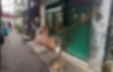Akhirnya Terkuak Pemicu Remaja NF Bunuh Bocah 6 Tahun, Psikiater: Ada Kelainan dalam Memproses Informasi dan Perasaan, Seperti Psikopat