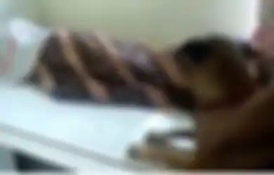  Majikannya Terbujur Kaku, Anjing Malang Ini Tertangkap Kamera Tarik-tarik Kain Jarik Penutup Jenazah, Usahanya Bangunkan Tuannya dari Kematian Sungguh Memilukan