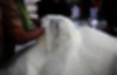 Virus Corona Semakin Mewabah, Pembelian Sejumlah Bahan Pokok Akan Dibatasi Mulai Hari Ini, Dia Rinciannya