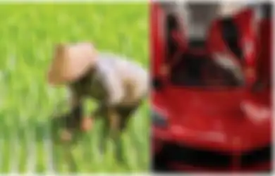 Mengaku Hanya Petani, Pria Sulawesi Ini Punya Aset Hingga Rp16 Miliar, Begitu Identitasnya Terbongkar Ternyata Bukan Sosok Sembarangan, Polisi Harus Turun Tangan