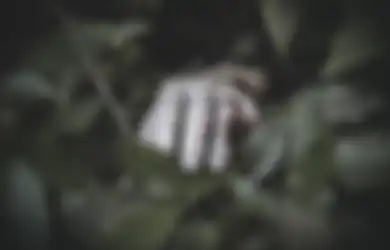 Pembunuhan Ibu dan Anak di Subang Masih Menyimpan Sejuta Misteri,  Terungkap Pemilik Sepatu Putih yang Ditemukan di TKP, Salah Satu Petunjuk Kuat