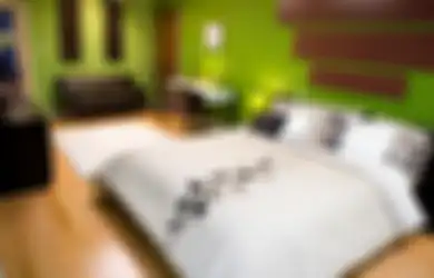 Musim DBD, 4 Warna Cat Kamar Tidur yang Bisa Usir Nyamuk. Masa Sih?
