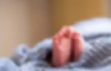 Diduga Hasil Hubungan Gelap, Potongan Mayat Bayi Ditemukan di Dua Tempat Terpisah Salah Satunya Tengah Diperebutkan Anjing , Ada Bagian Tubuh yang Masih Dalam Pencarian