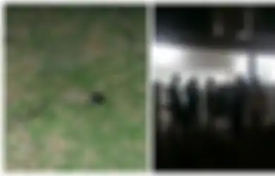 'Saya Pikir Meteor Jatuh', Ungkap Seorang Warga yang Mendengar Ledakan Keras di Rumah Plt Kepala ULP Aceh, Polisi Langsung Bergerak Selidiki Pelemparan Granat Itu