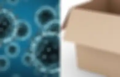 Bisakah Kita Tertular Virus Corona dari Pembungkus Paket Belanja Online?