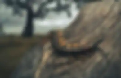 Dari Penghisap Darah Hingga Kelabang Raksasa Sepanjang 3 Meter yang Menyeret Rusa, Ini Dia 5 Monster Misterius yang Pernah Ditemui Manusia