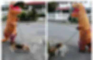 Biar Nggak Kena Virus Corona, Orang Ini Ajak Jalan-jalan Anjingnya Pakai Kostum T-Rex