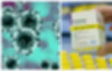 Kabar Baik, Ilmuwan Temukan dua 'Obat Ajaib' yang Diuji di Asia Tenggara, Disebut Bisa Menyembuhkan Virus Corona dan Melindungi Tubuh dari Covid-19