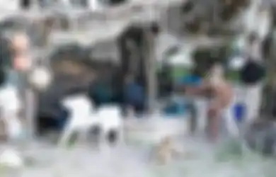 Dulu Punya Tambang di Papua dan Berharta Rp4,6 Triliun, Setelah Bangkrut Pria Ini Menjual Asetnya Untuk Tinggal di Gubuk Reot Seorang Diri Di Pulau Terpencil 