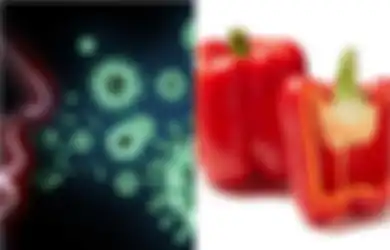 Hadapi Corona: Ini 15 Makanan untuk Tingkatkan Sistem Kekebalan Tubuh, Salah Satunya adalah Paprika Merah