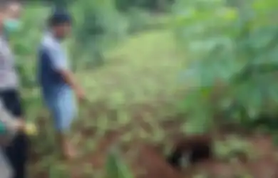 Tengah Bersihkan Rumput Bersama, Saat Menengok Istri Pria Ini Hilang, Ternyata Terperosok dalam Lubang Ini
