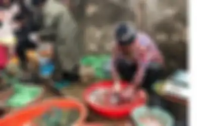 Bukan Senjata Biologis Atau Virus dari Kelelawar, ini Penjelasan Ilmuwan Tentang Asal Muasal Covid-19 yang Sebenarnya
