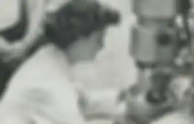 Mengenal Sosok Penemu Virus Corona Pertama di Dunia Tahun 1965, Seorang Anak Sopis Bus yang Punya Prestasi Cemerlang