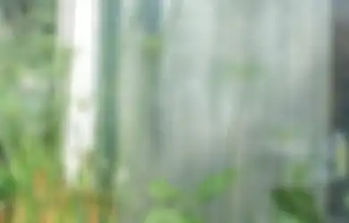 Apasih Gunanya Kaca Air? Ternyata Bisa Kurangi Panas di Hunian!