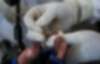 Lakukan Kontak dengan Pasien Positif Covid-19, 21 Orang Ini Malah Tolak Rapid Test, Akibatnya Bikin Susah Seluruh Warga di Desanya