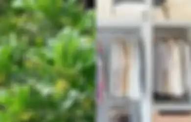 Manfaat Daun Pacar Cina untuk Parfum Karena Bunganya Berbau Wangi Namun Kini Tergerus oleh Waktu dan Teknologi