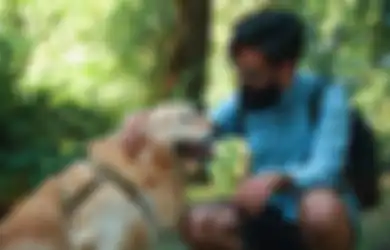 Kabar Baik Bagi Para Pecinta Hewan, Penelitian Menunjukkan Hewan Peliharaan Sulit Terpapar Virus Corona dan Tularkan ke Manusia