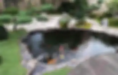 Pertanyaan Paling Umum Saat Membuat Kolam Ikan, Ini Penjelasannya! (2)