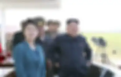 Tertangkap Satelit Mata-mata, Rezim Kim Jong Un Latih Lumba-lumba untuk Perkuat Militer Korea Utara, Ikuti Jejak Amerika Serikat?