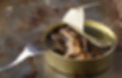 Pasti Kaget Rasanya 100 Kali Lebih Nikmat, Begini Tips Memasak Sarden Kaleng yang Wajib Diketahui, Bumbu Ini Jadi Rahasianya